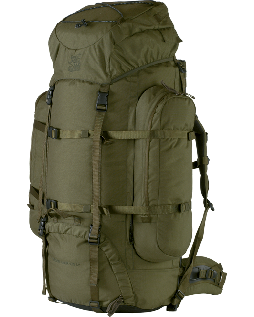 Expedition green backpack