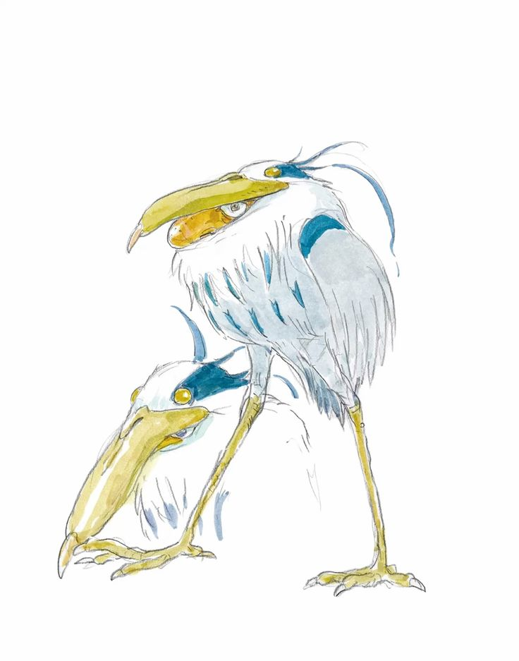The Boy and the Heron Illustration