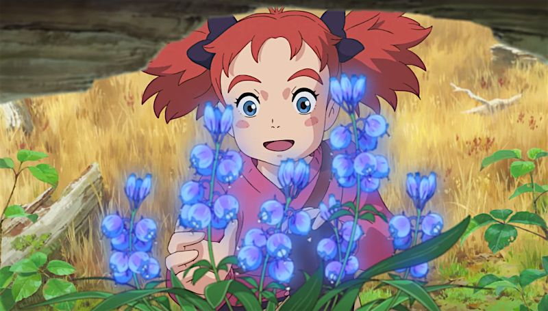Mary and the Witch's Flower Illustration