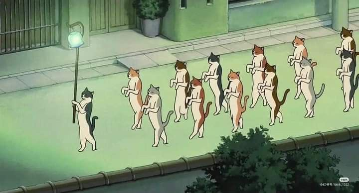 The Cat Returns