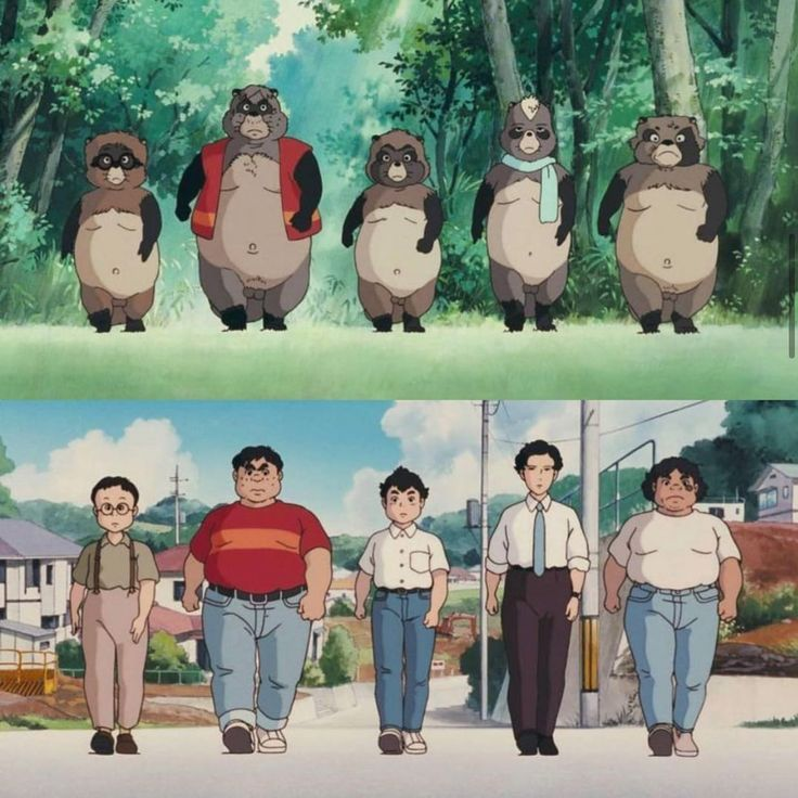 Pom Poko Illustration