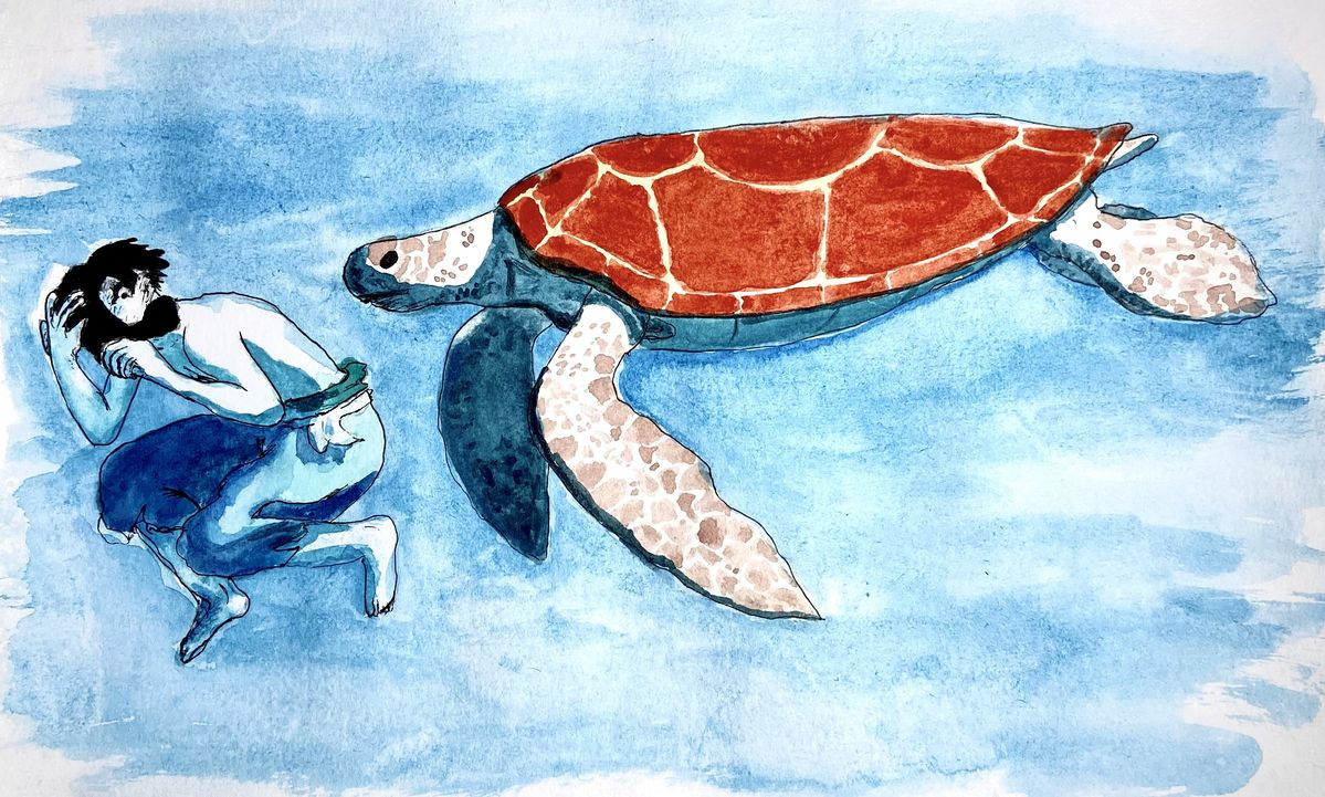 The Red Turtle Illustration