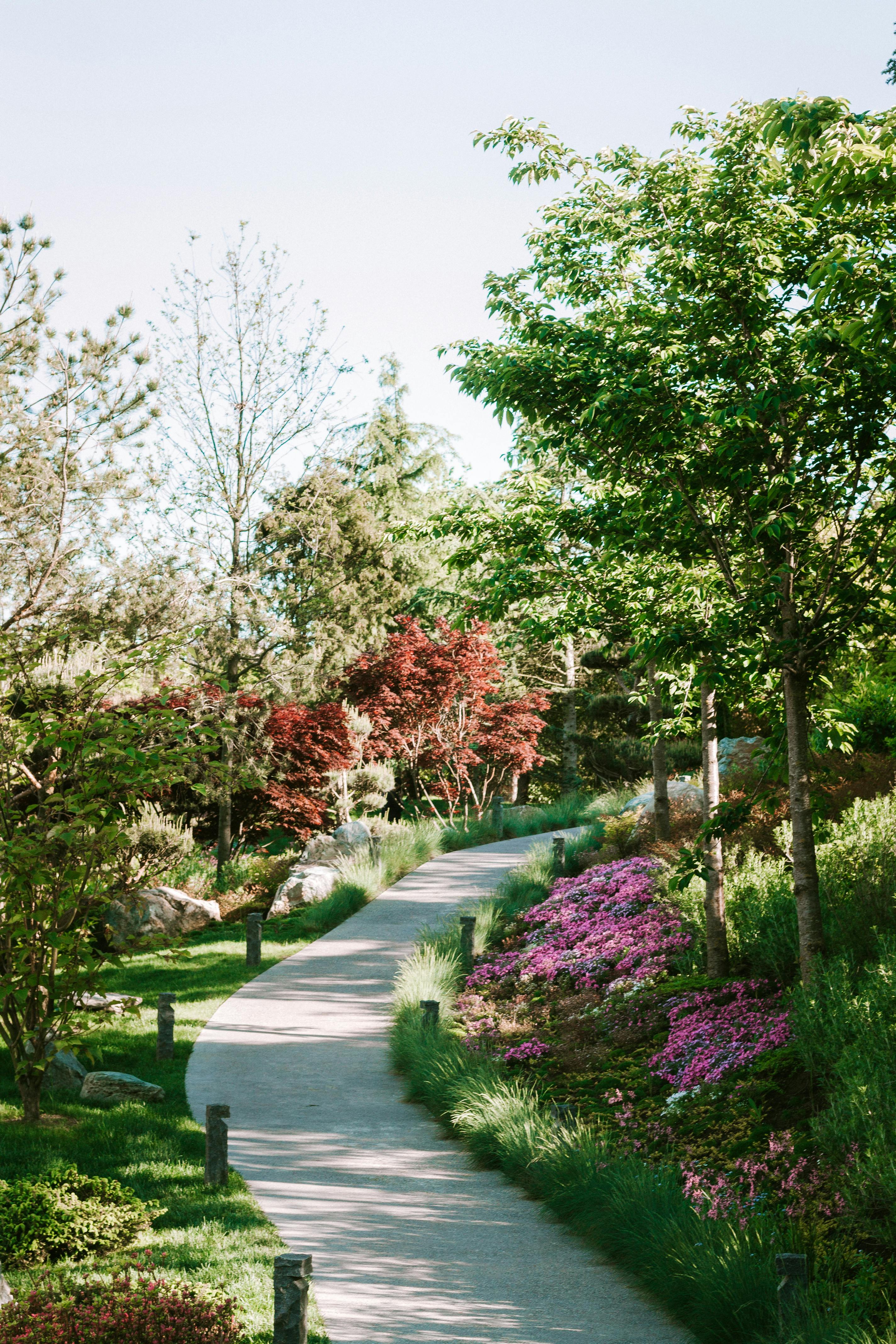 Garden 3
